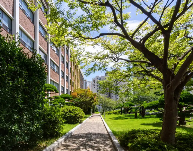 庆星大学